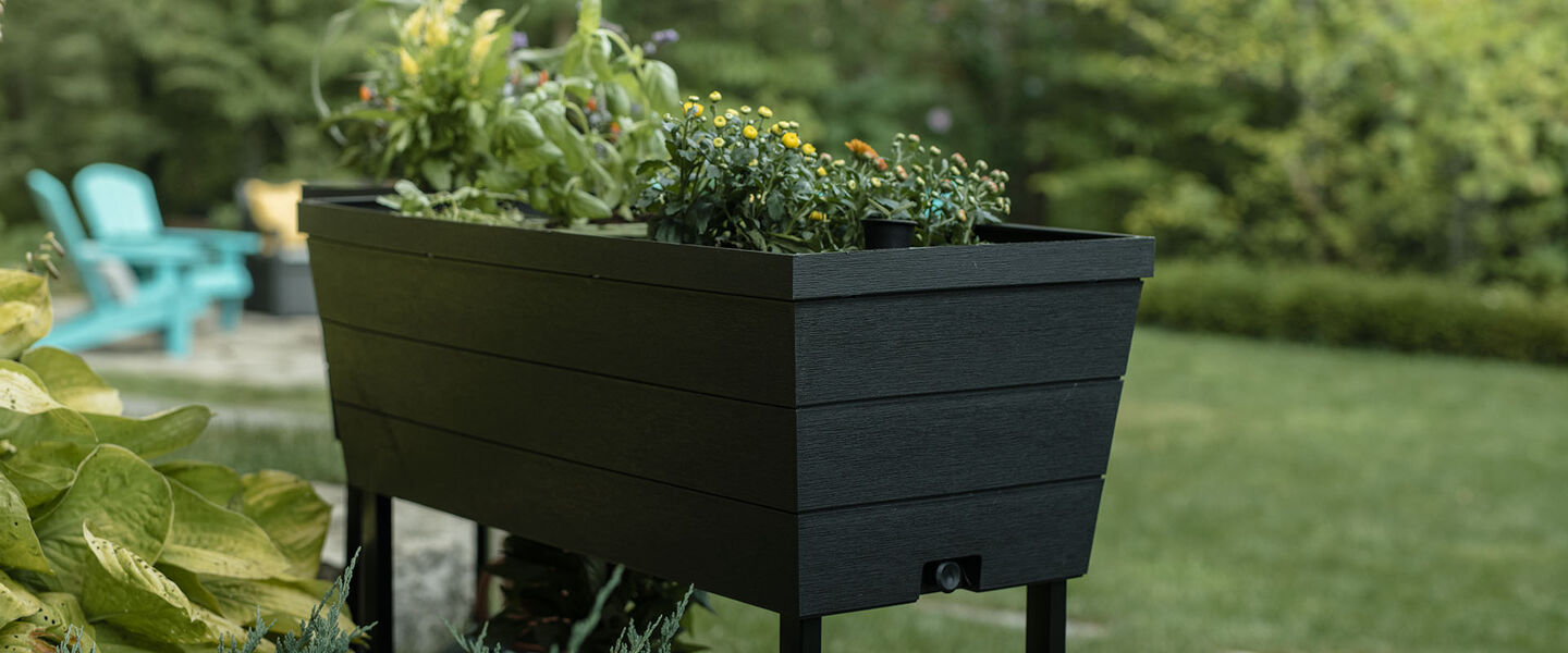 Bacs à jardin : Solutions de jardinage urbain pour les amateurs canadiens