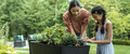 Garden Bed home