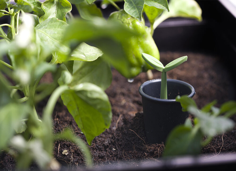 Water indicator zoomed in image 