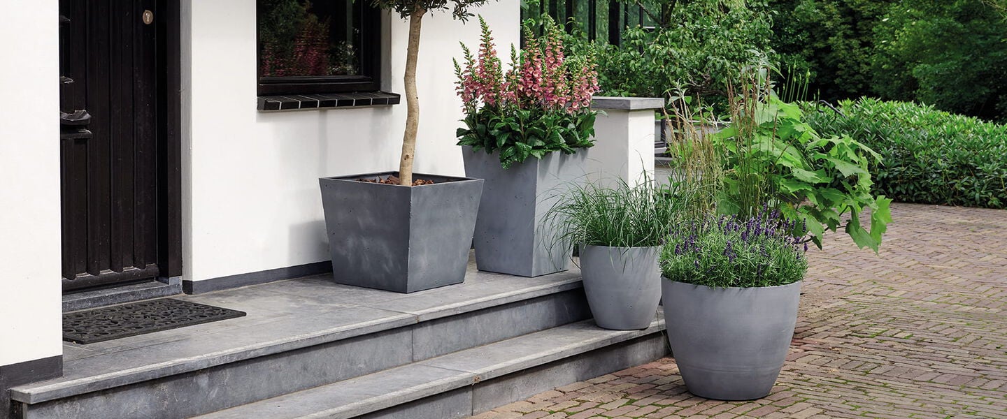 Cómo decorar tu jardín o terraza con macetas: ideas, distribución y plantas recomendadas