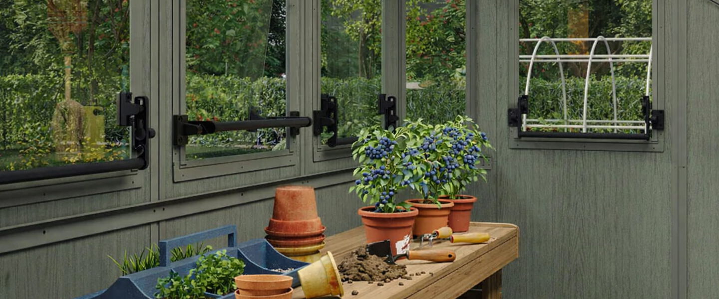 Cómo cultivar arándanos en casa: de la maceta a la mesa