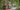 Arcón de exterior Darwin 100 - 142,5x65,3x54,5 cm y 380L - Marrón madera