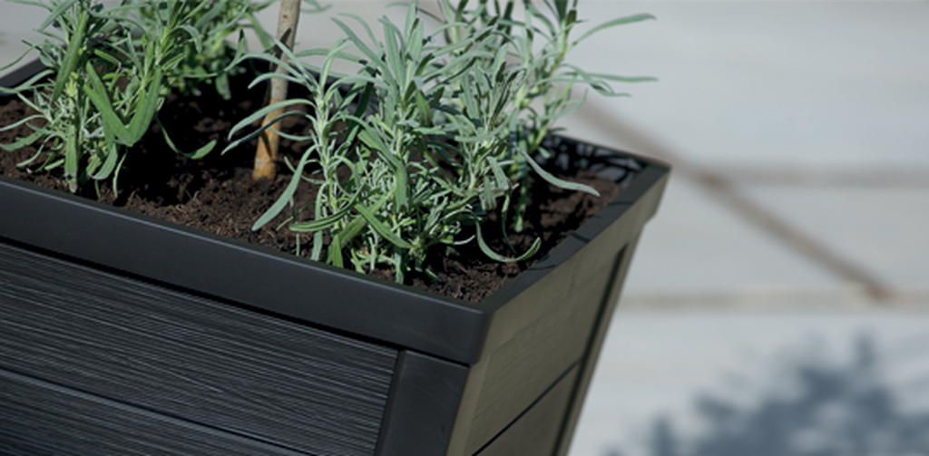 Taper Square Planter 37cm Set of 2 - Graphite