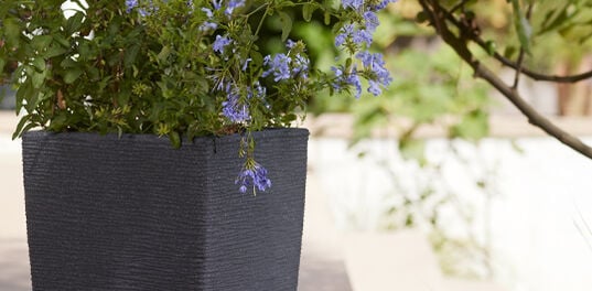Cotswold Tall Square Planter 33cm Set of 2 - Millstone Grey
