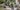 Cotswold Tall Square Planter 33cm Set of 2 - Marble Green