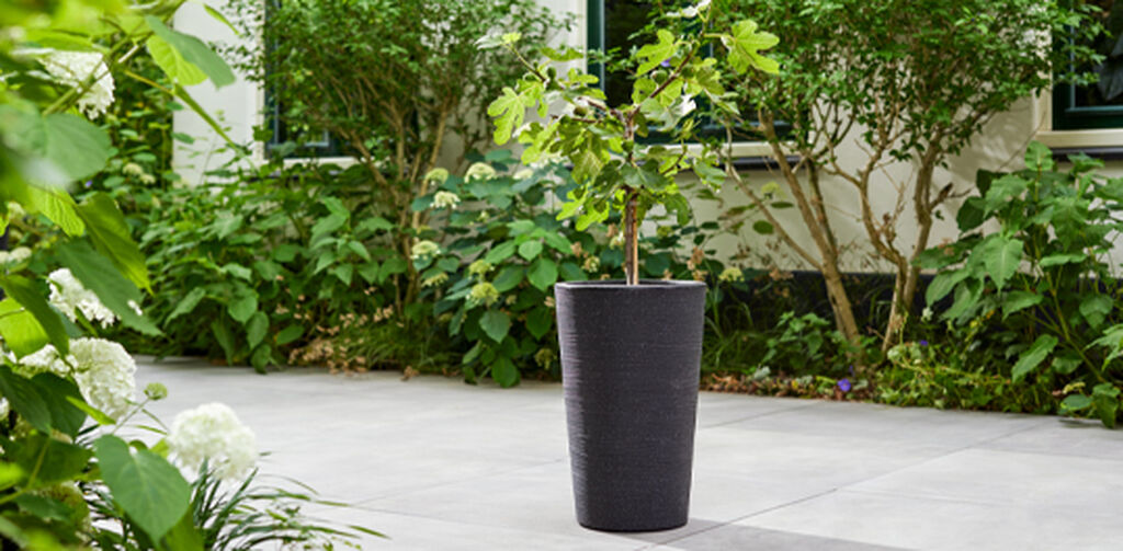 Varese Medium Planter 35cm Set of 2 - Granite