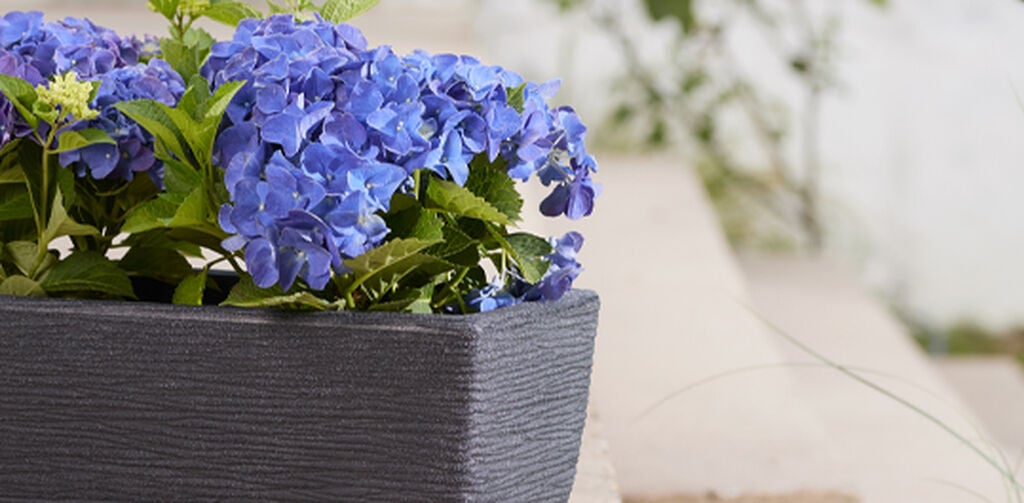 Cotswold Trough Planter 60cm Set of 2 - Millstone Grey