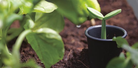 Tulip Screen Planter - Ashwood Brown
