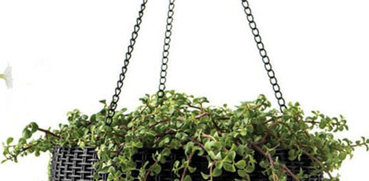 Hanging Sphere Planter Set of 2 - Graphite