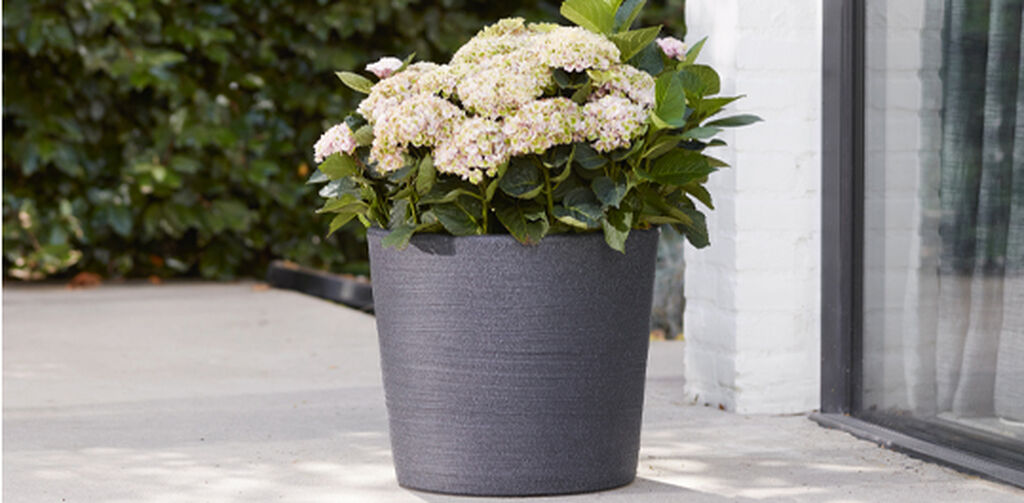 Varese Low Planter 40cm Set of 2 - Millstone Grey