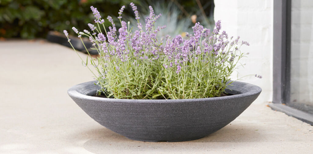 Varese Low Bowl Planter 60cm Set of 2 - Millstone Grey