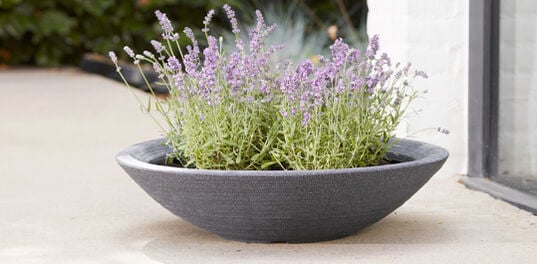 Varese Low Bowl Planter 60cm Set of 2 - Millstone Grey