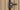 Darwin Carolina Shed 6x8ft - 