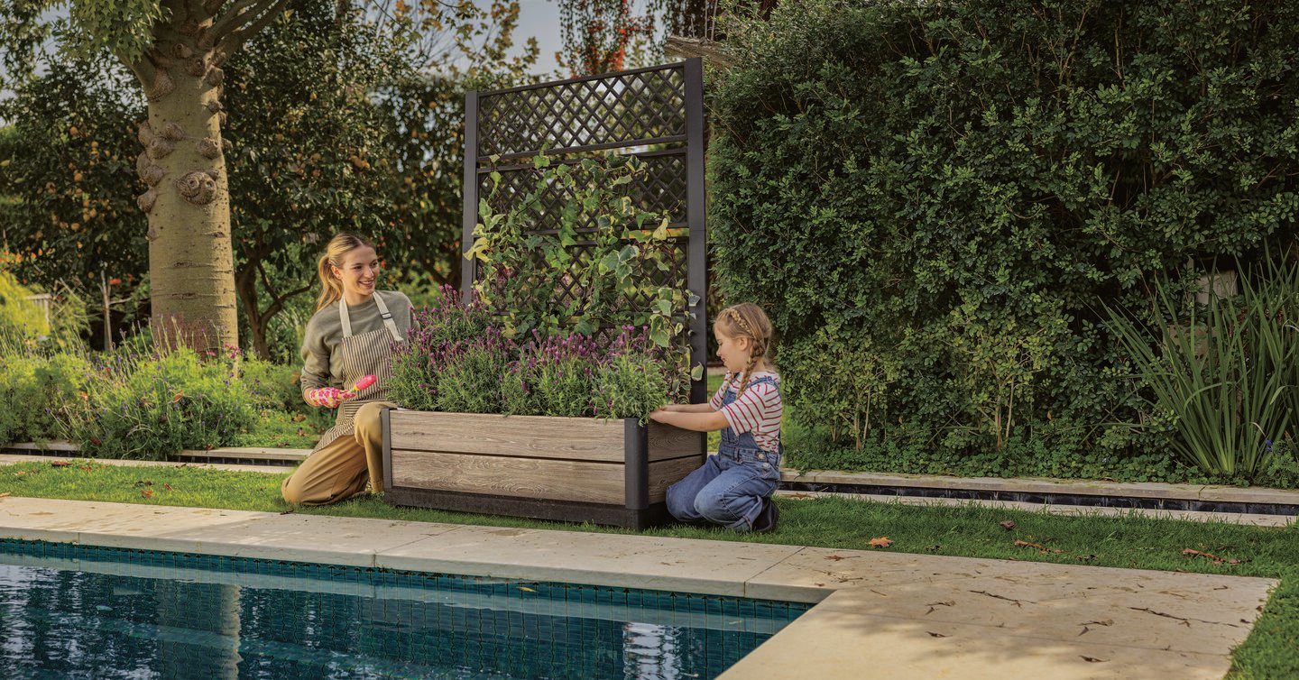 Tulip Privacy Screen