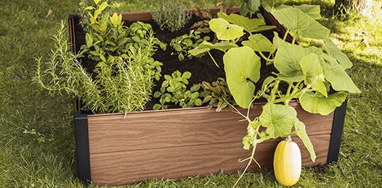 close up of a raised garden bed with plants and herbs