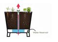 keter garden bed showing the self-watering system and the water reservoir