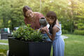Mom and daughter watering plants in a raised garden bed