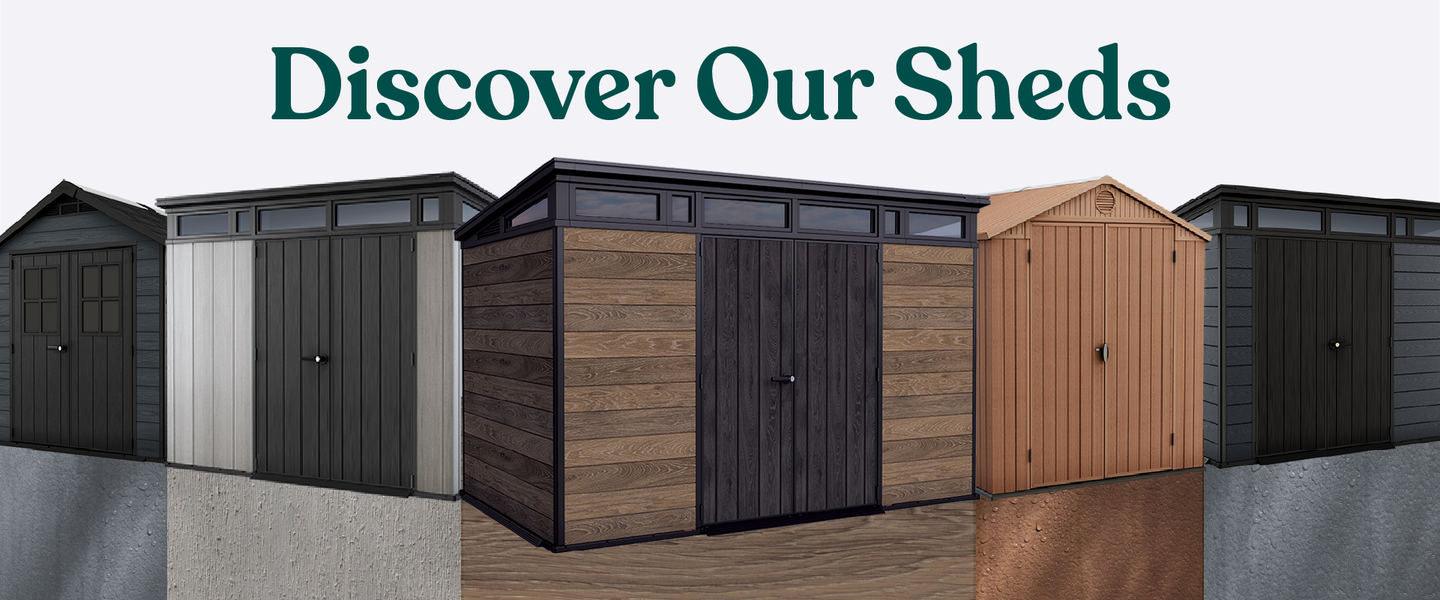Discover Our SHeds