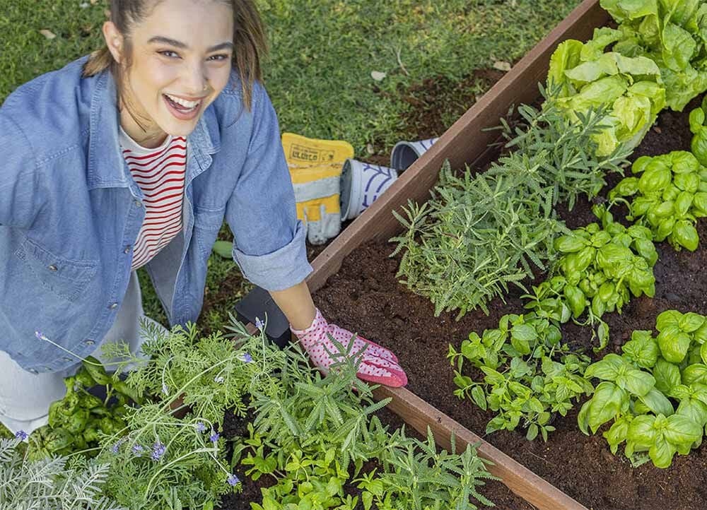 woman planting on a raised garden bed