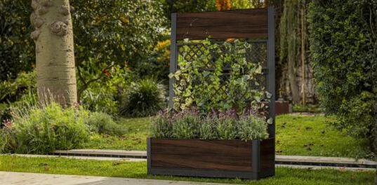Rosewood Brown Privacy Planter With Trellis - Keter US
