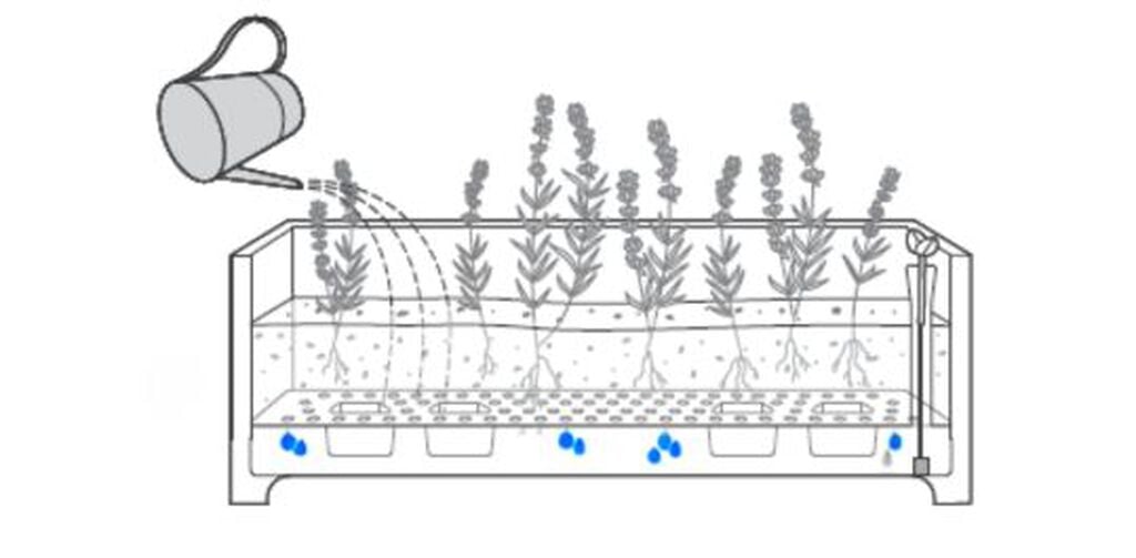 Green Privacy Planter With Tulip-Shaped Trellis - Keter US