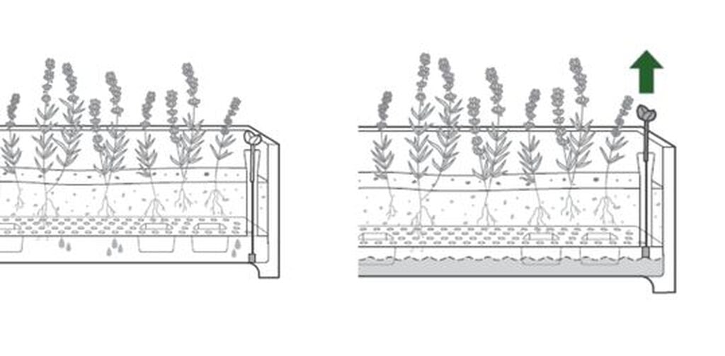 Green Privacy Planter With Tulip-Shaped Trellis - Keter US