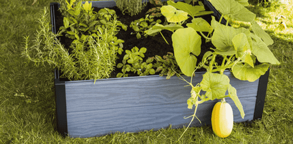 Graphite Maple Resin Raised Garden Bed - Keter US