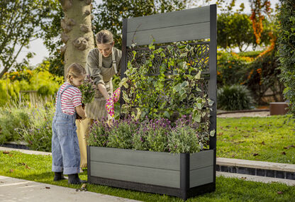 Tulip Leaf Screen Planter - Green