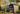 Darwin Carolina Shed 6x8ft - 