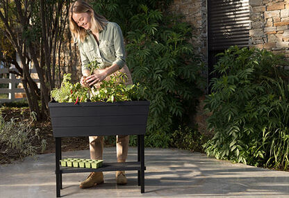Graphite Urban Bloomer 12.7 Gallon Elevated Garden Bed - Keter US