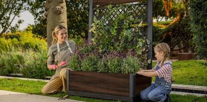 Jardinière d’intimité avec treillis, bois de rose brun – Keter Canada