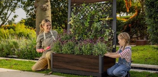 Rosewood Brown Privacy Planter With Trellis - Keter US