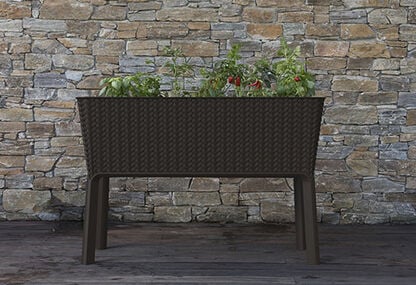 Buy Splendor Raised Garden Bed, 31.7 Gallon - Keter Canada