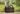 Signature Tall Rectangular Planter - Keter Canada