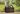 Jardinière rectangulaire haute Signature – Keter Canada