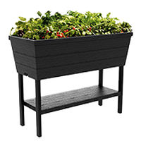 Garden Beds