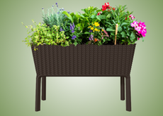 Garden Beds