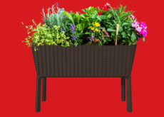 Garden Beds