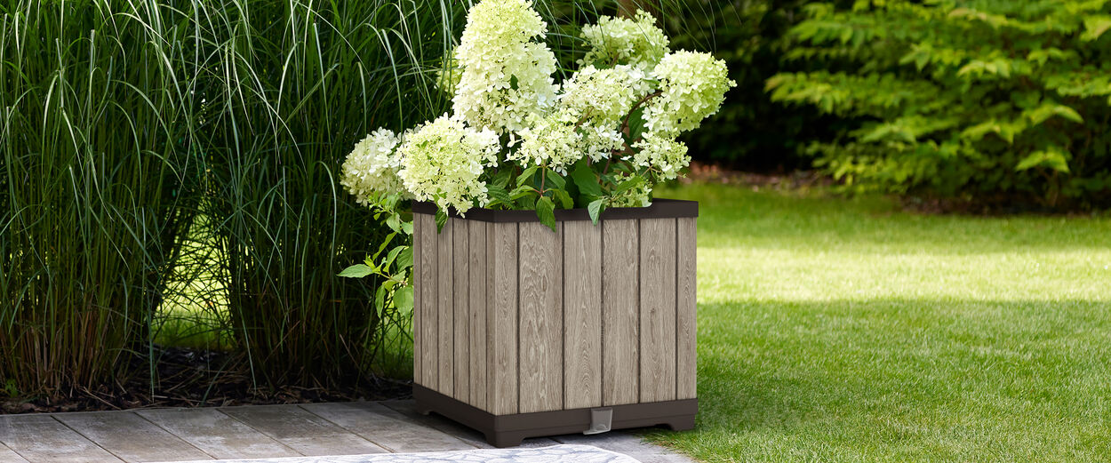 Planters