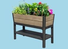 Garden Beds & Planters