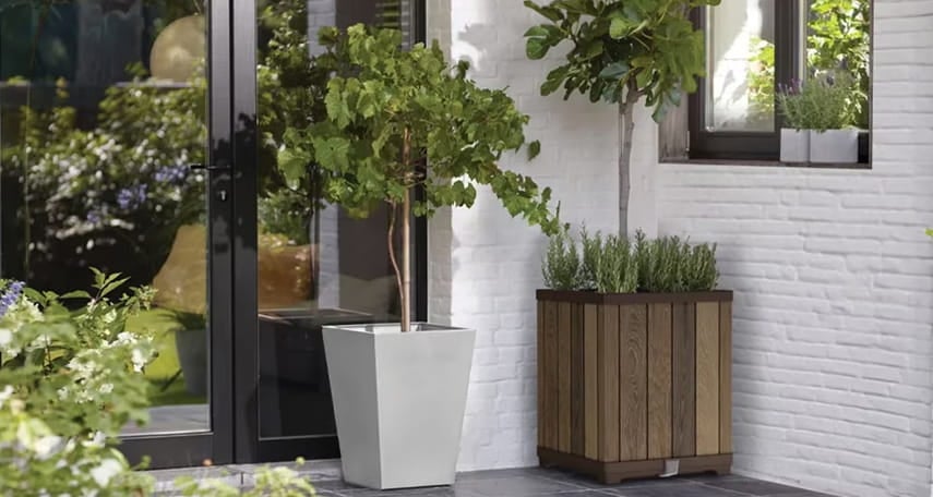 Consejos para colocar macetas en jardín o terraza