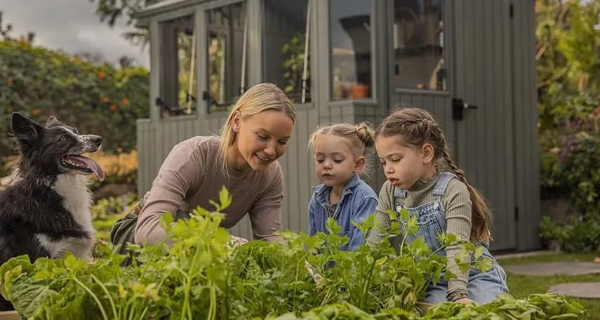 ¿Qué se puede cultivar en un invernadero casero?