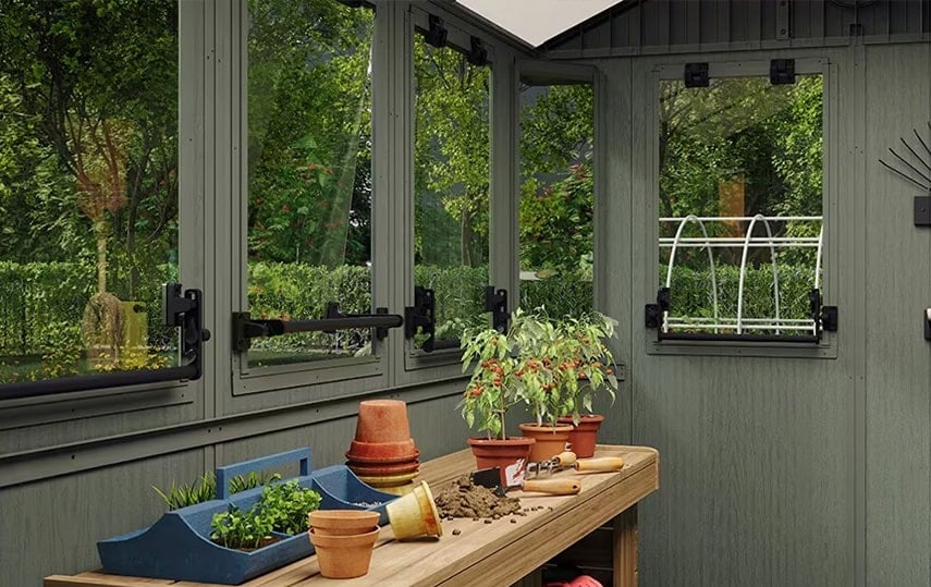 Qué plantas puedo cultivar en macetas