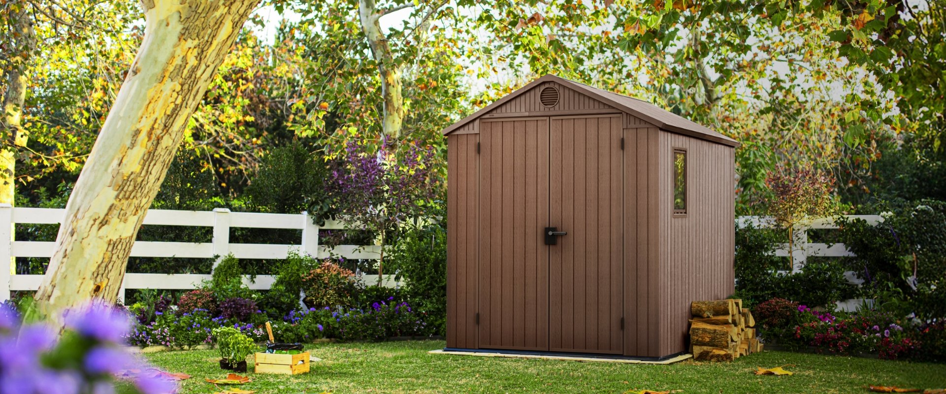 דיל סופשבוע: מחסני דארווין ב-10%